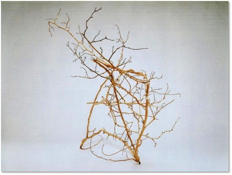 An upright open structure built from thin pale branching twigs, standing against a grey ground.