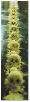 A narrow vertical image of a receding row of pale yellow-green skulls fading into darkness.