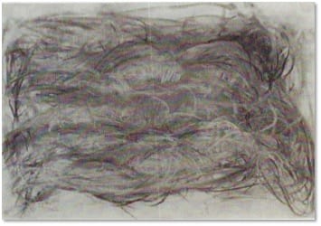 A horizontal charcoal drawing of layered wavy strands filling the sheet like matted fibre.
