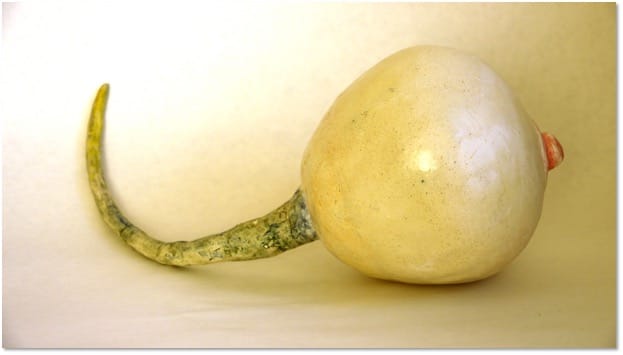 A smooth pale cream ovoid form trailing a long tapering green-mottled tail that curves away to the left.